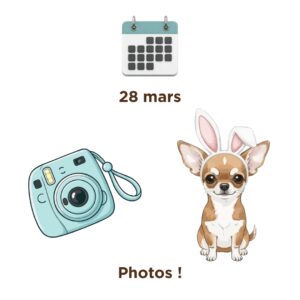 Prise de photos chiens de Pâques/printemps