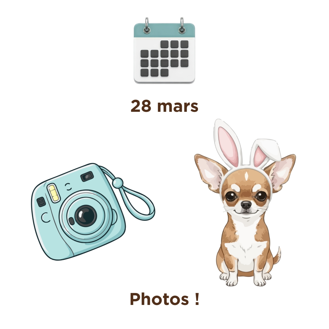 Prise de photos chiens de Pâques/printemps