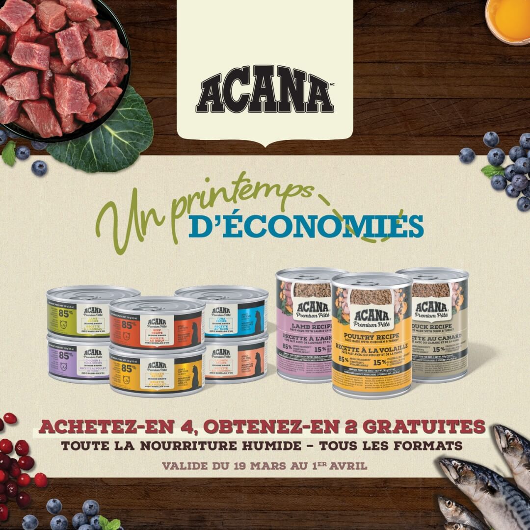 Conserves Acana chiens et chats en rabais