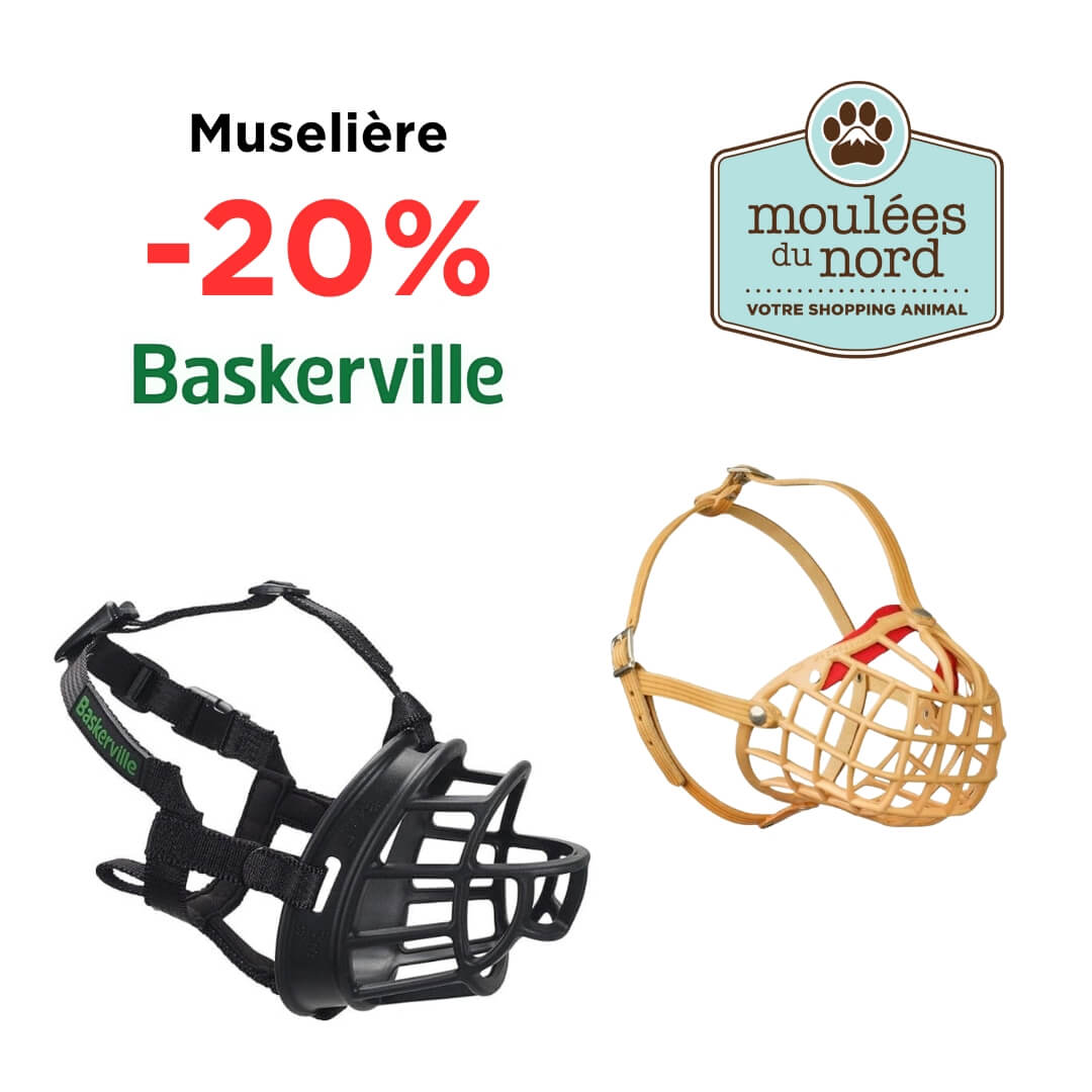 Promotion muselière Baskerville pour chiens