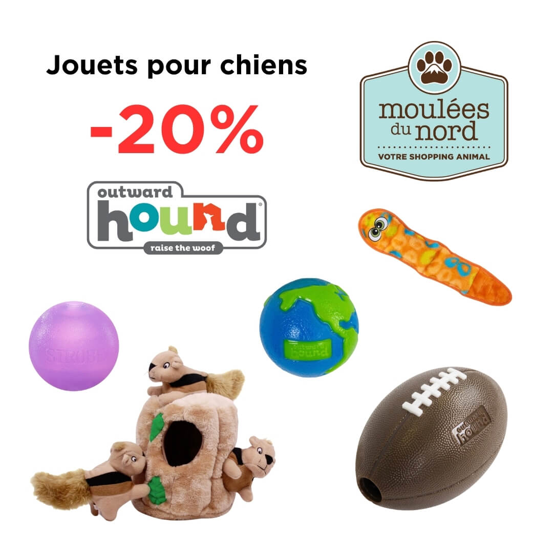 Rabais sur les jouets Outward Hound pour chiens mars