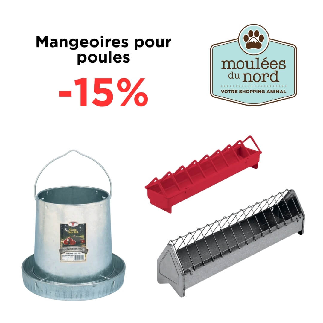 Mangeoires pour poules en rabais