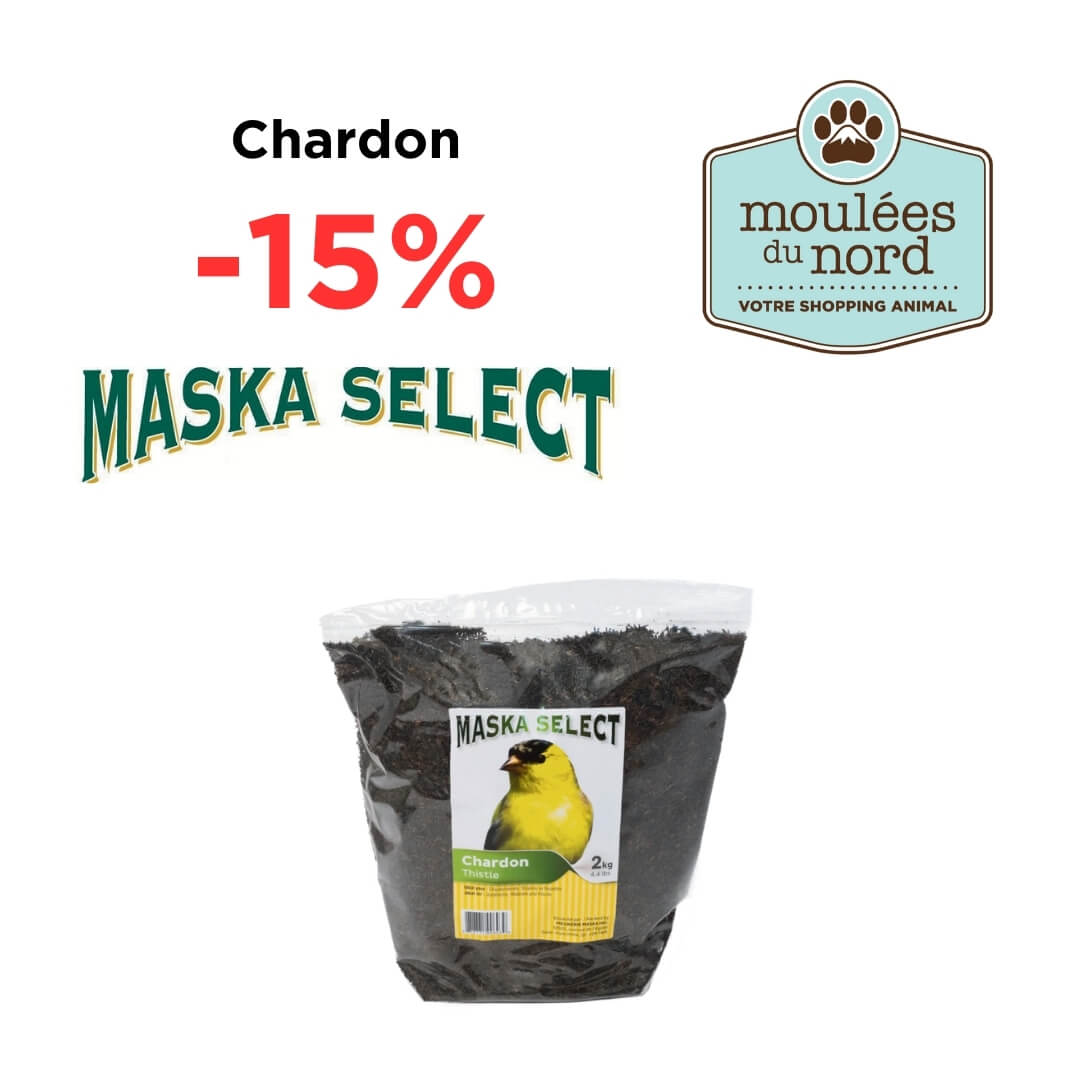 Chardon pour oiseaux sauvages en promo pour mars chez MDN