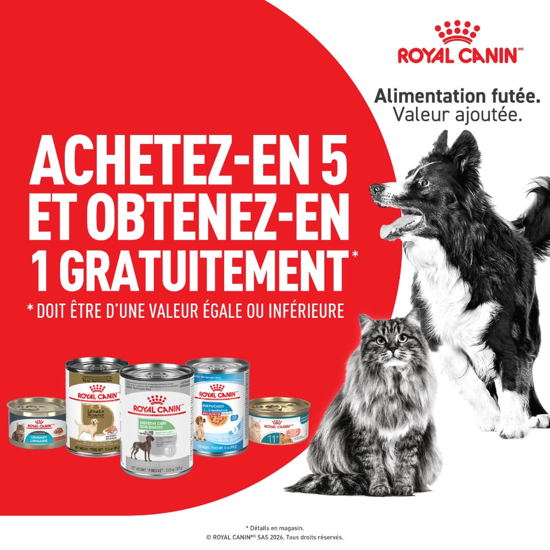 Promotion sur Royal Canin nourriture humide chiens et chats mars