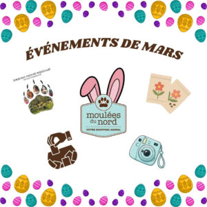 Événements de mars 2026 aux Moulées du Nord