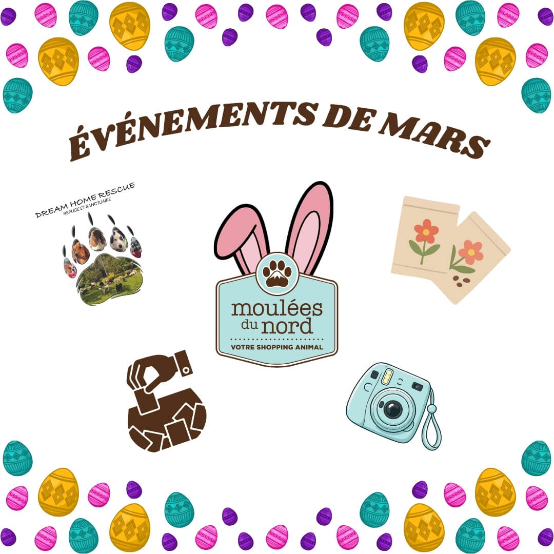 Événements de mars 2026 aux Moulées du Nord