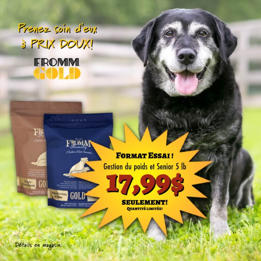 Nourriture Fromm Gold pour chiens en rabais