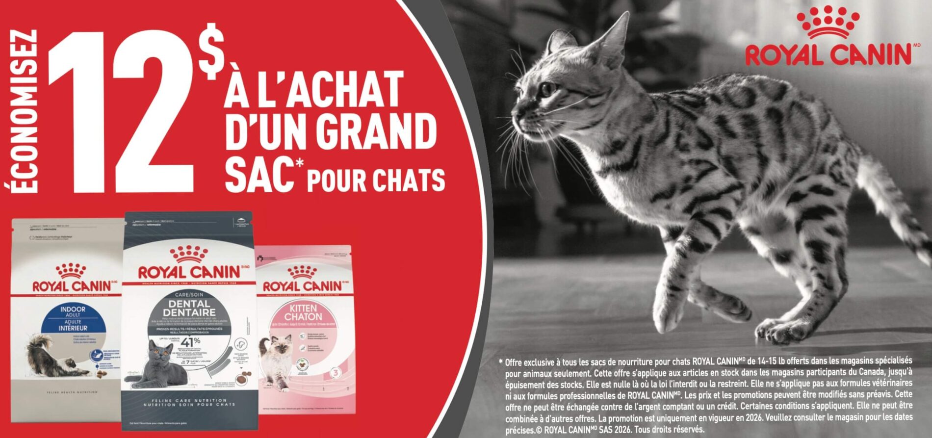 Économisez gros sur les grand sacs de nourriture Royal Canin pour chat