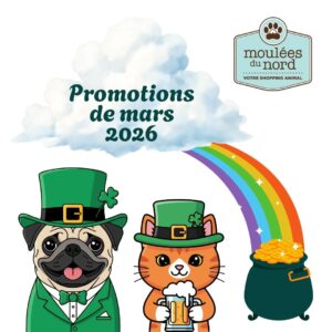 Promotions de mars 2026 Moulées du Nord