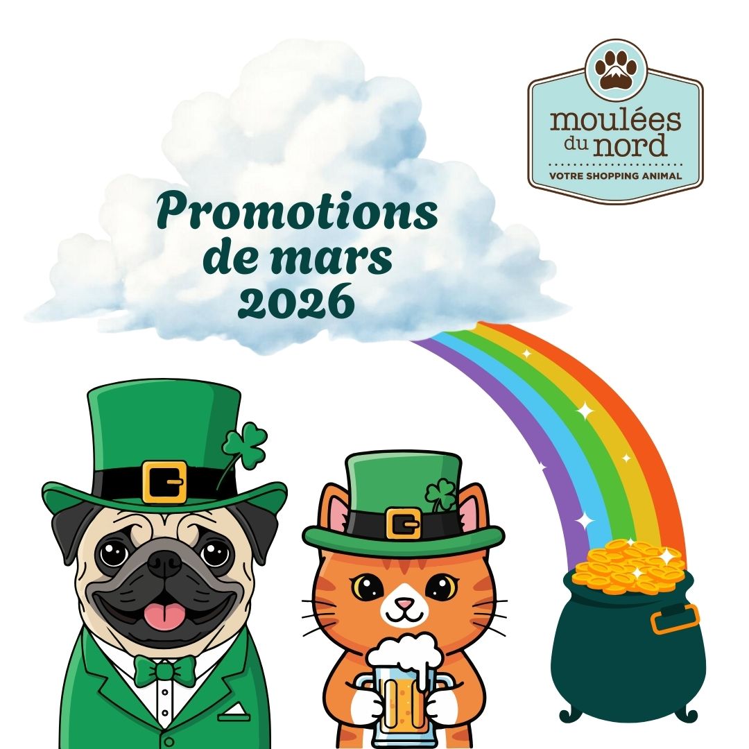 Promotions de mars 2026 Moulées du Nord