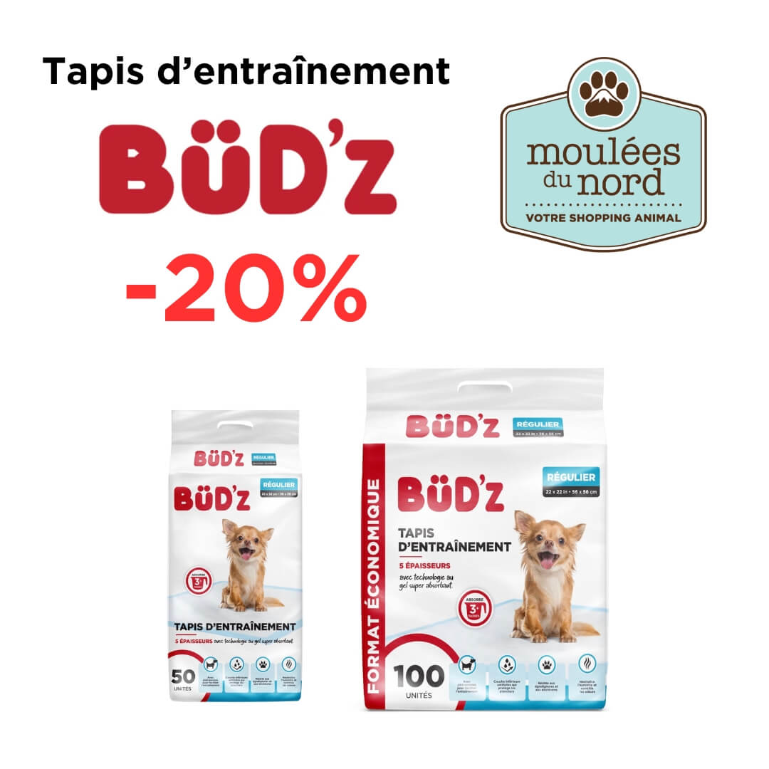 Tapis d'entraînement pour chiots et chiens séniors en promo