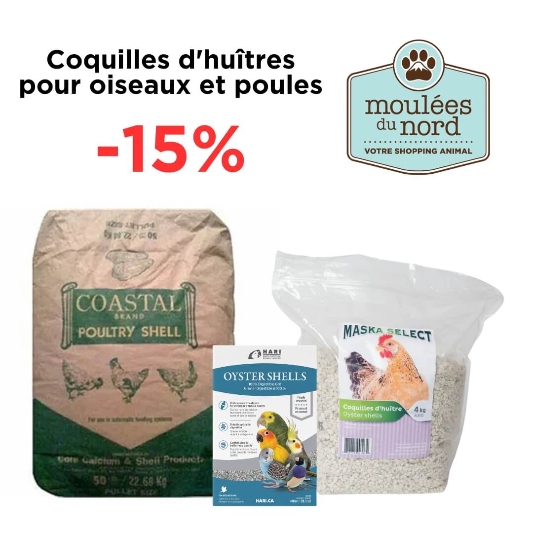 Promo sur les coquilles d'huitres pour poules et oiseaux