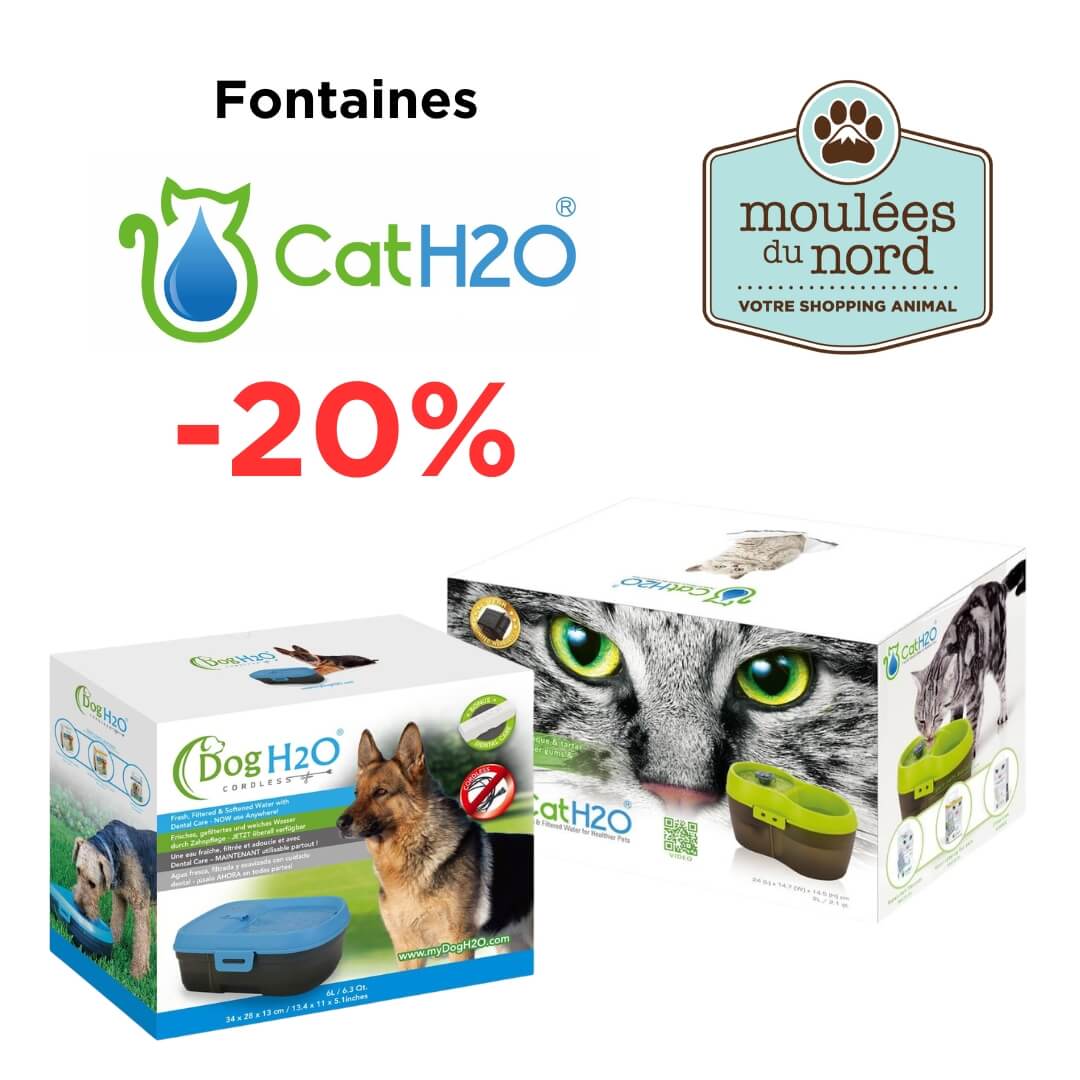 Fontaines H2O pour chiens et chats en rabais