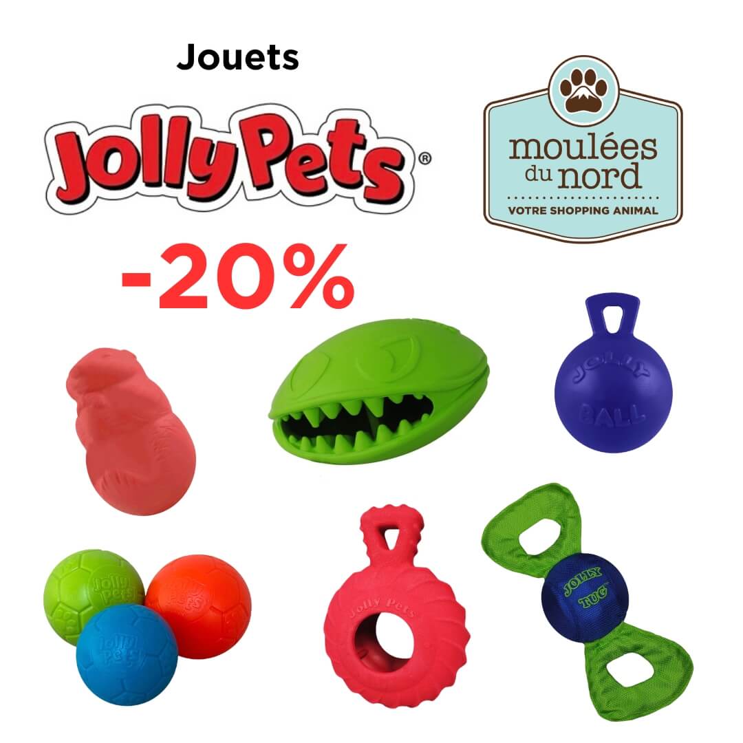 Jouets Jolly Pets pour chiens en promotion