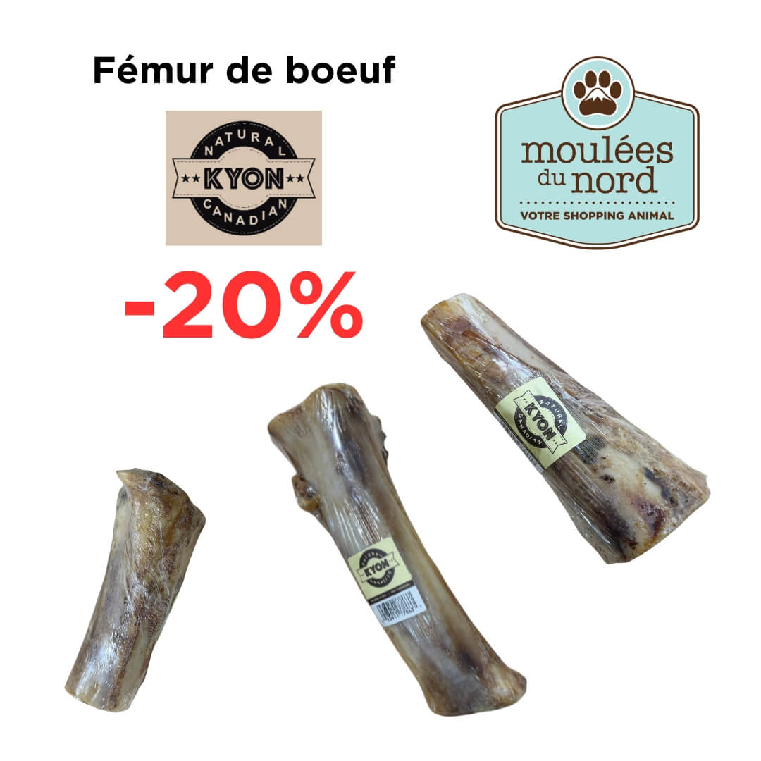 Rabais sur Kyon fémur de boeuf pour chien