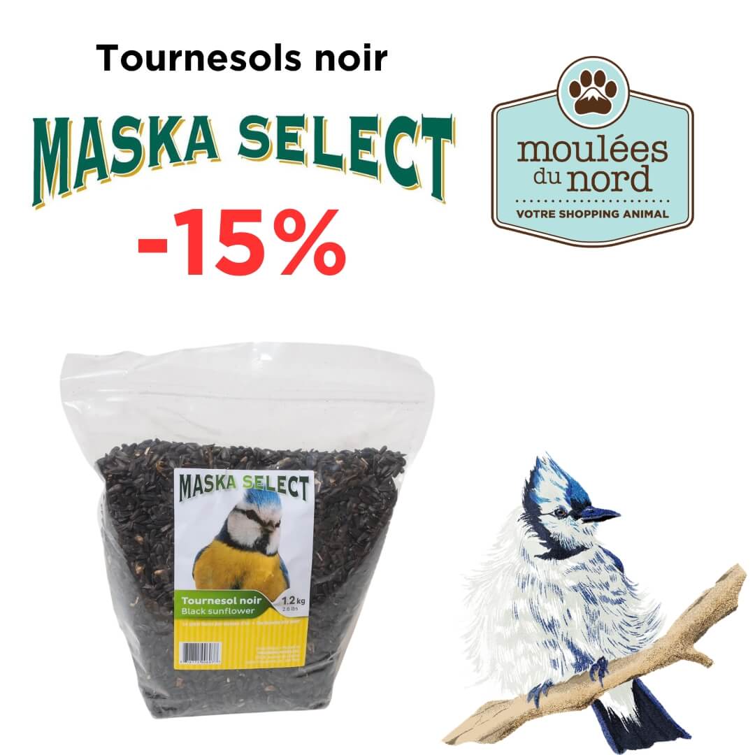 Promotion Maska Select tournesols noir oiseaux sauvages