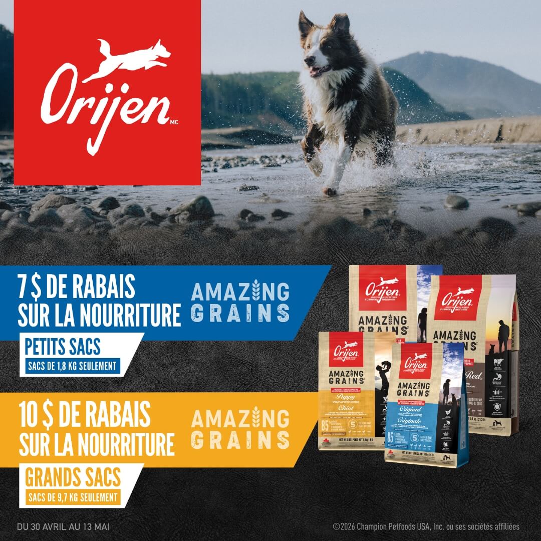 Nourriture Orijen Amazing Grains pour chien en rabais