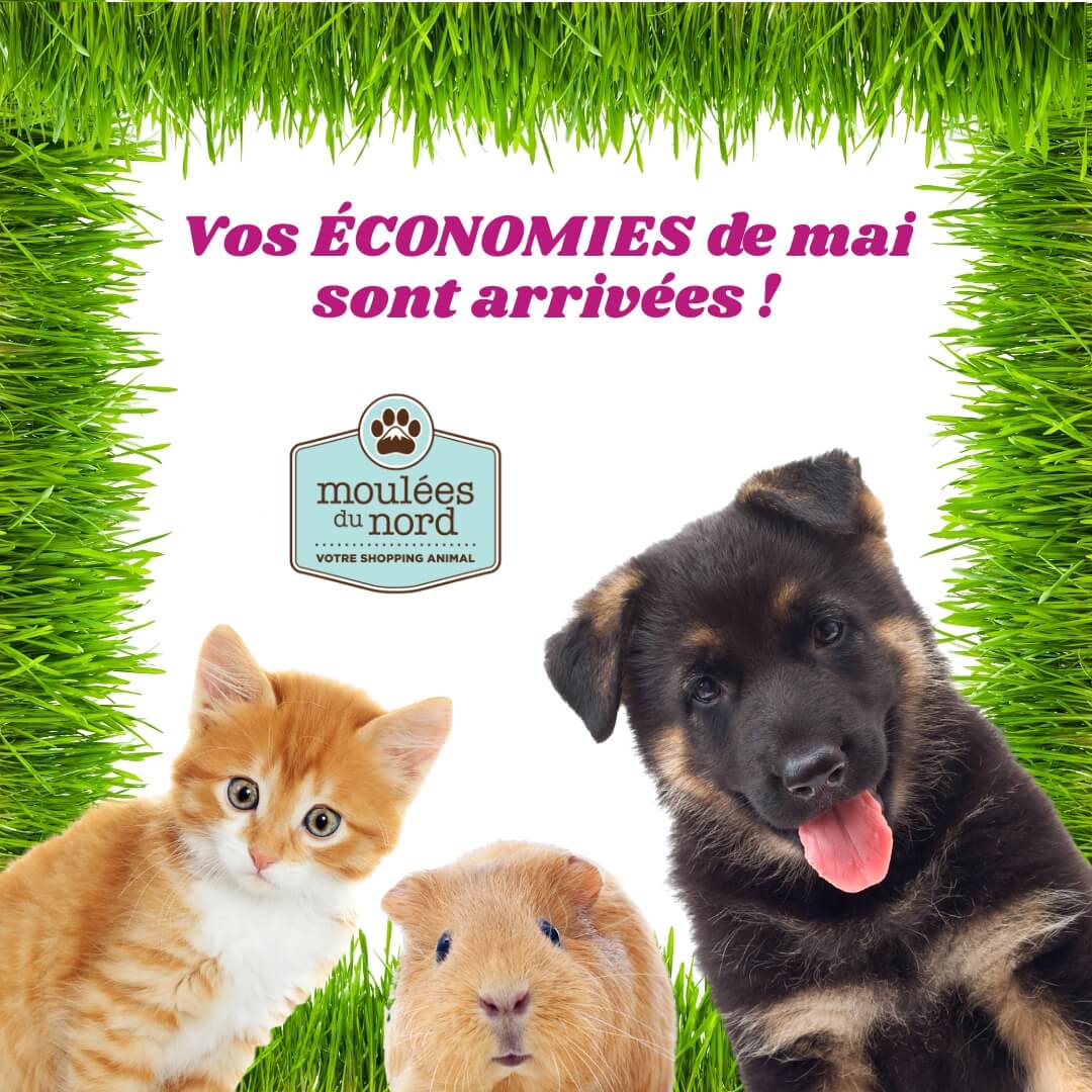 Promotions de mai 2026 chez Moulées du Nord à Ste-Adèle