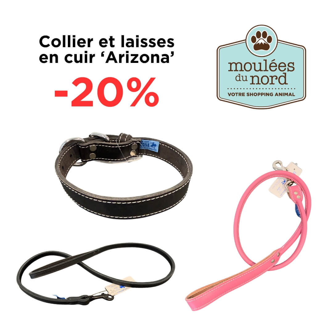 Colliers harnais laisses Arizona pour chiens en promotion