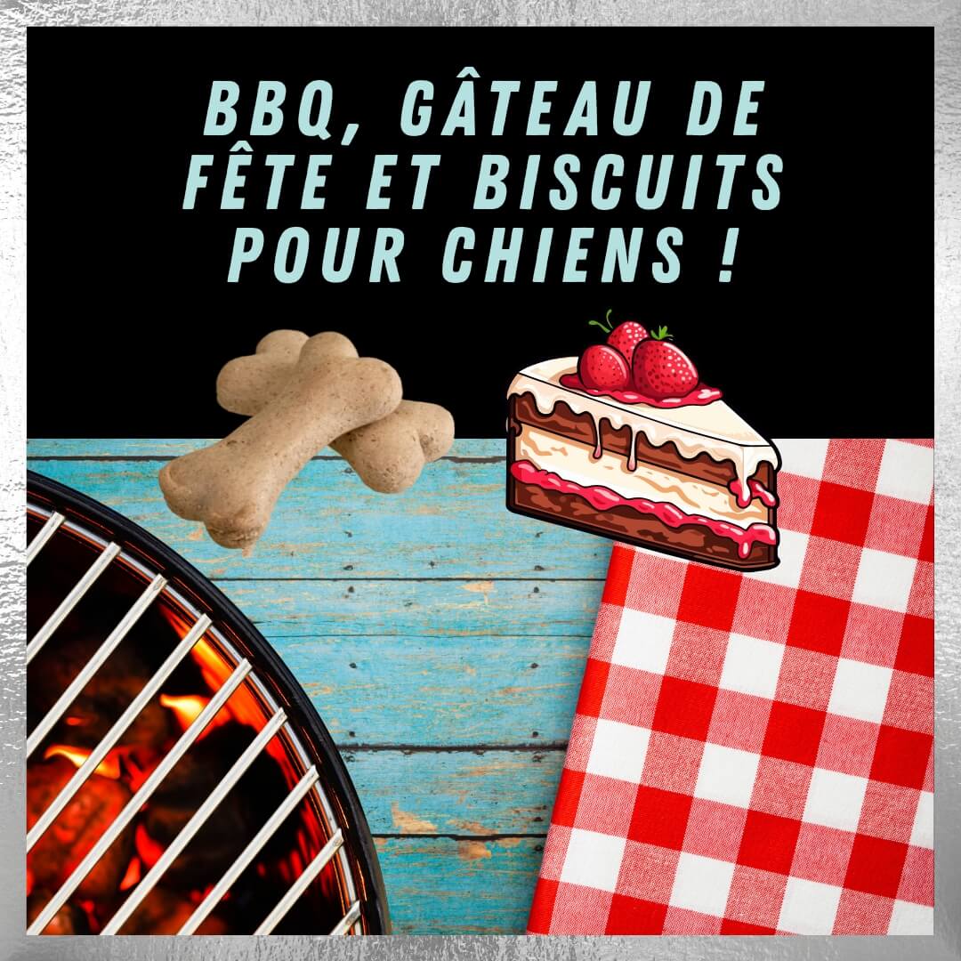 25è anniversaire BBQ gâteau biscuits chiens Ste-Adèle