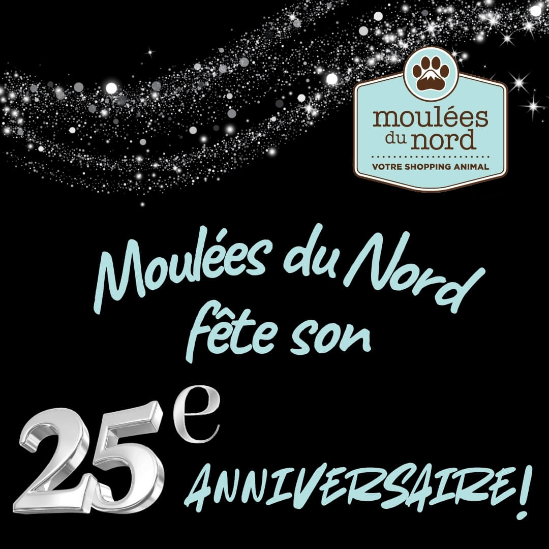 Moulées du Nord : 25è anniversaire !