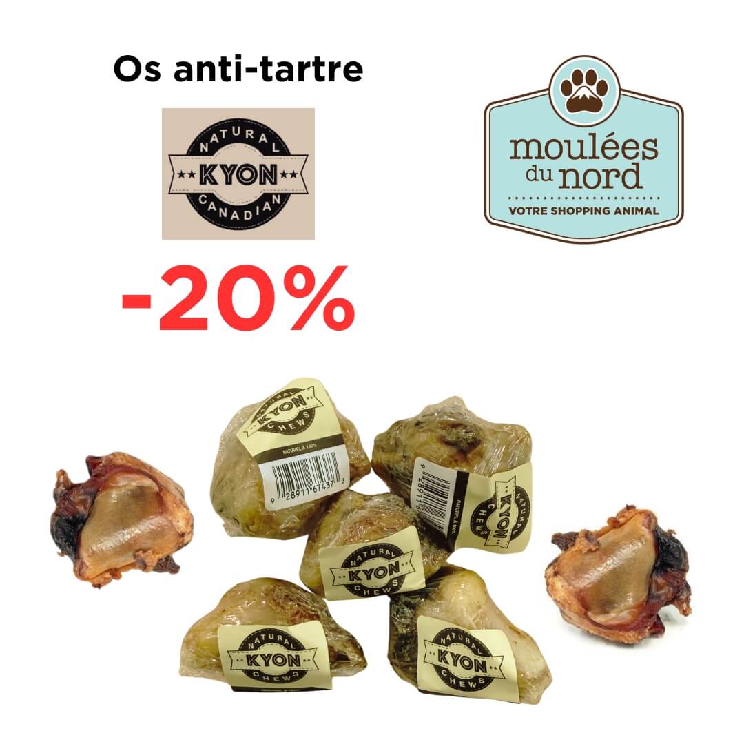 Promo sur les os anti-tartre pour chiens de Kyon