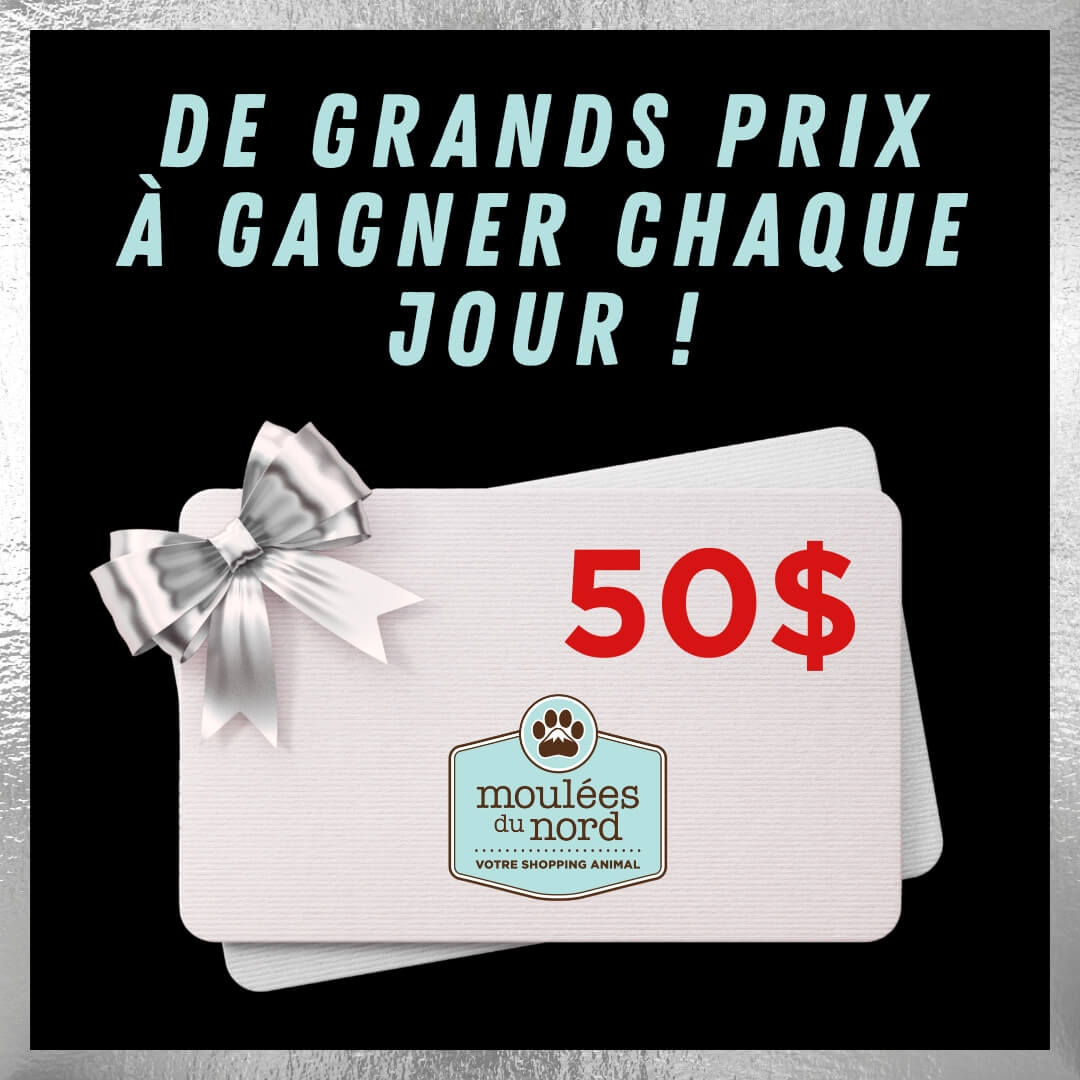 25è anniversaire Moulées du Nord Ste-Adèle carte cadeaux à gagner