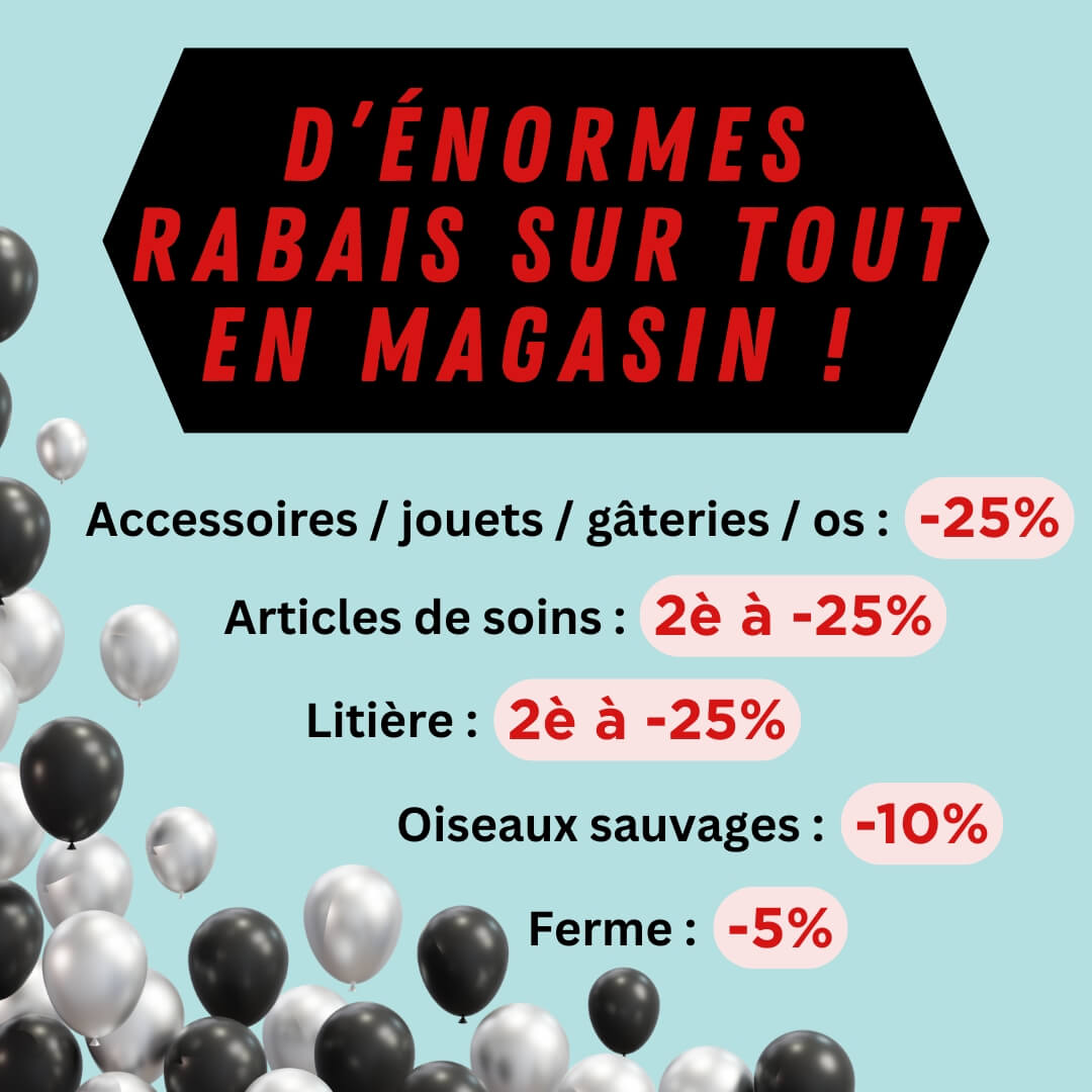 Moulées du Nord 25è anniversaire rabais sur tout !