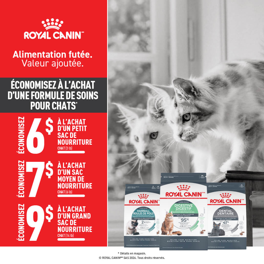 Beau rabais sur les nourriture soins pour chat de Royal Canin