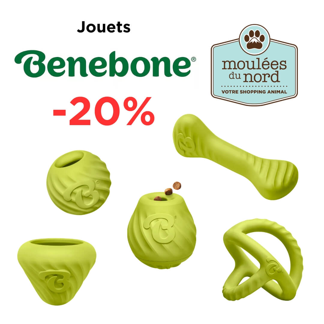 Jouets Benebone pour chien en rabais