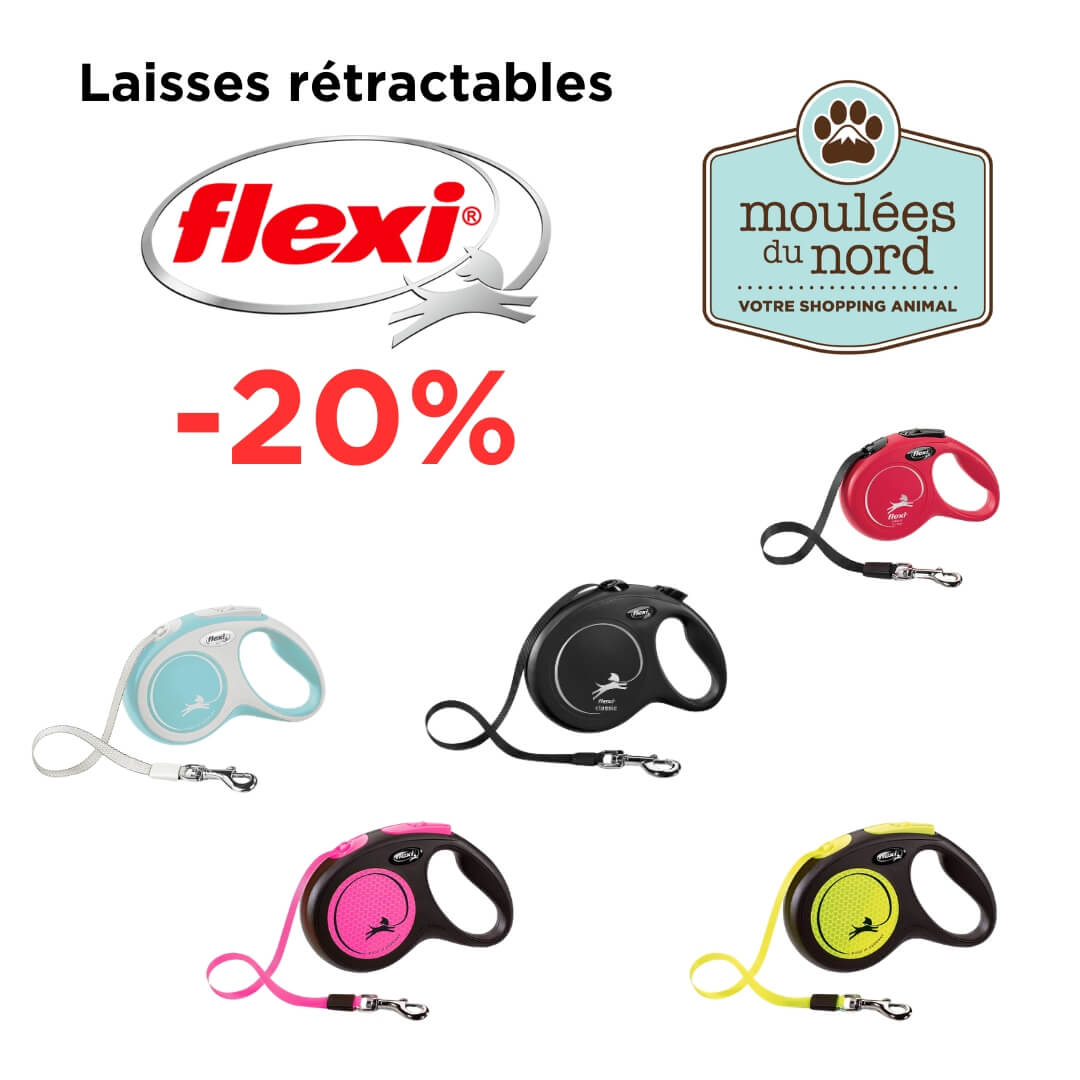 Laisses rétractables Flexi pour chiens en promotion