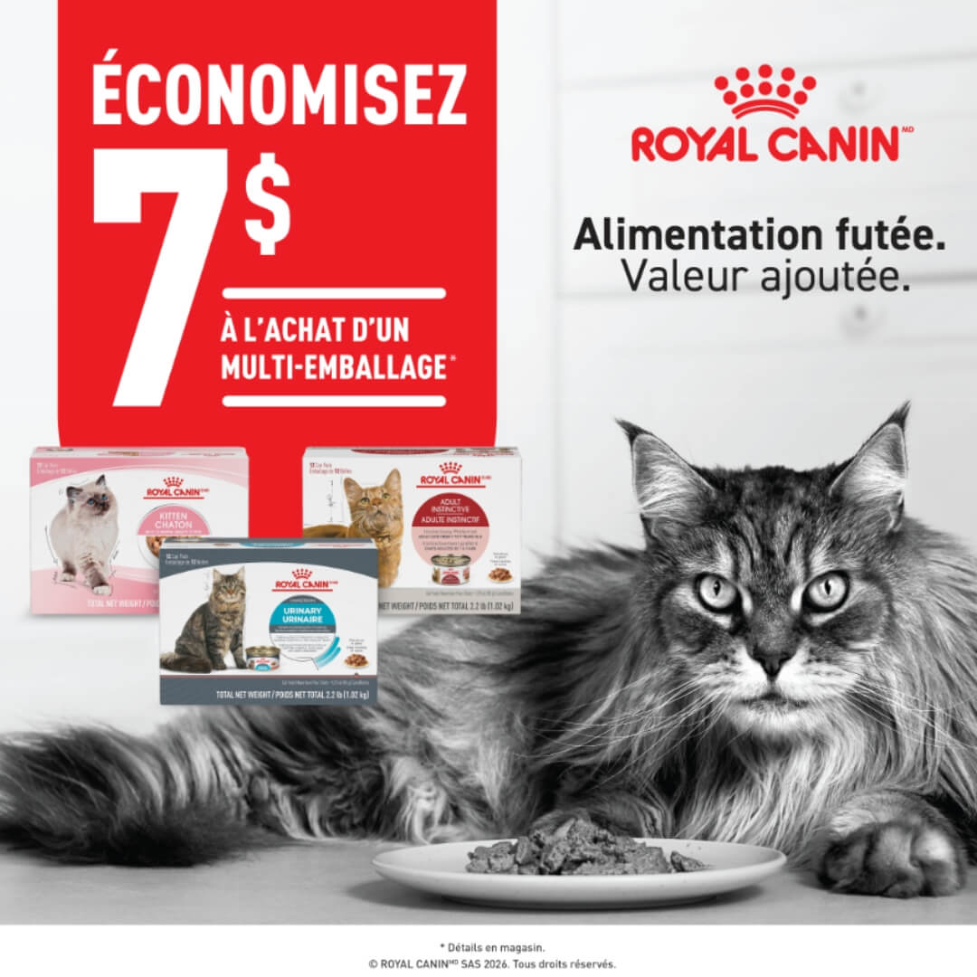 Belles escomptes sur la nourriture humide Royal Canin pour chats