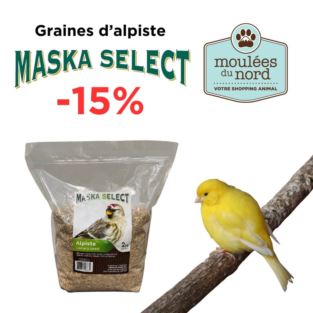 Promotion sur graines d'alpiste Maska Select septembre 2026 Moulées