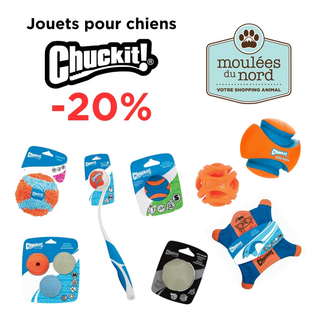 Économisez sur les jouets pour chiens Chuckit ce septembre aux Moulées