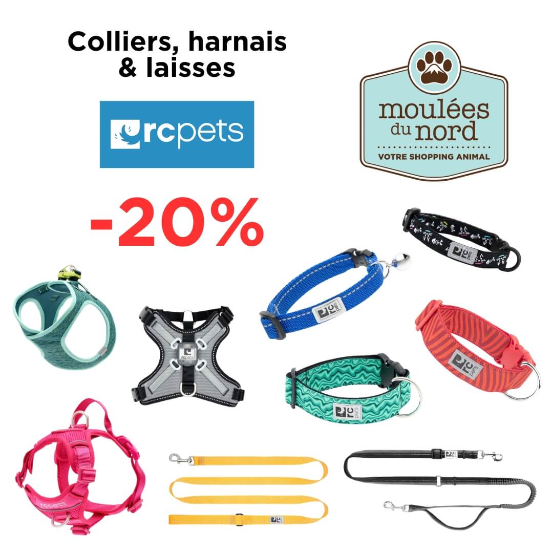 Collier harnais et laisses RC Pets pour chiens et chats