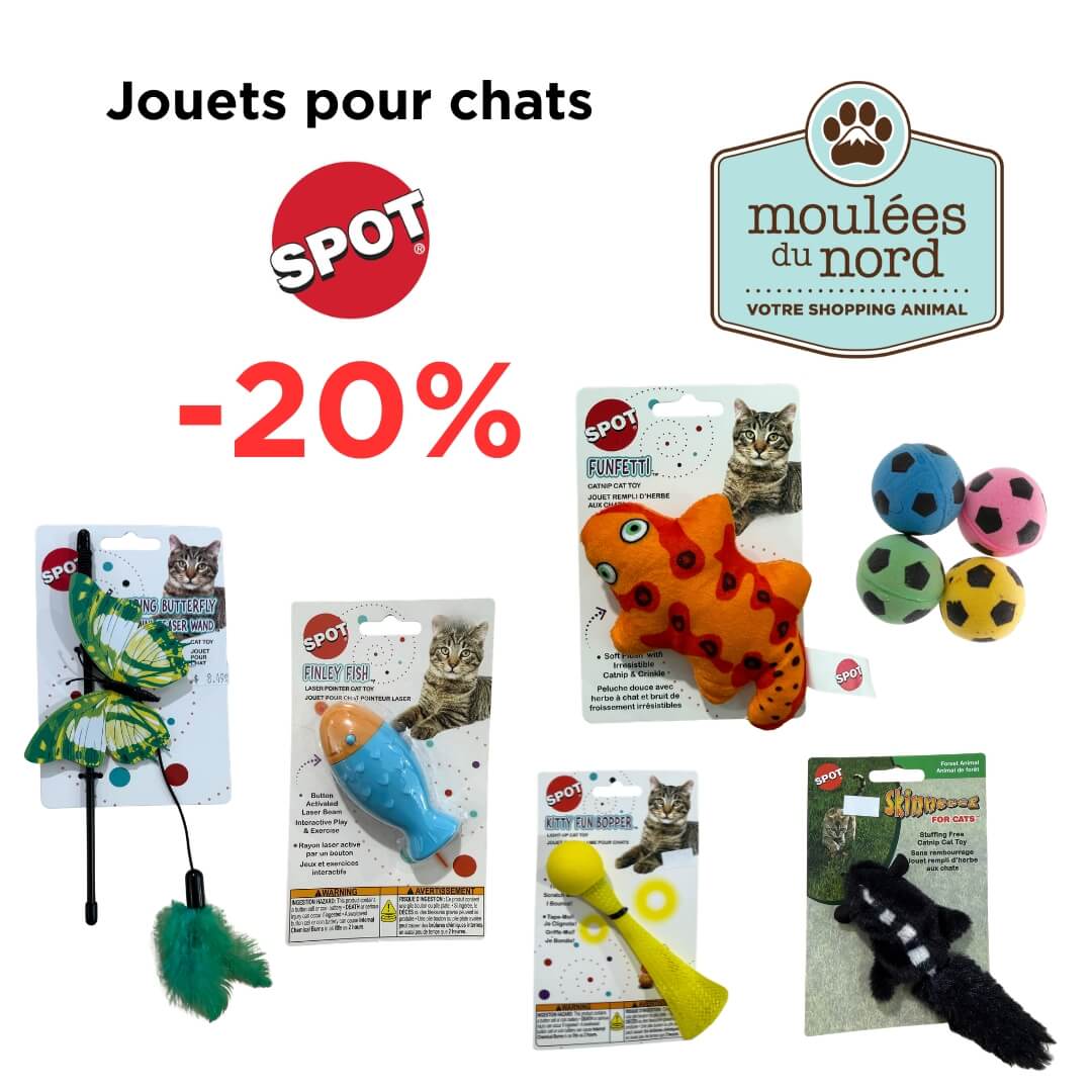 Rabais sur la grande variété de jouets Spot pour chat en août Moulées du Nord
