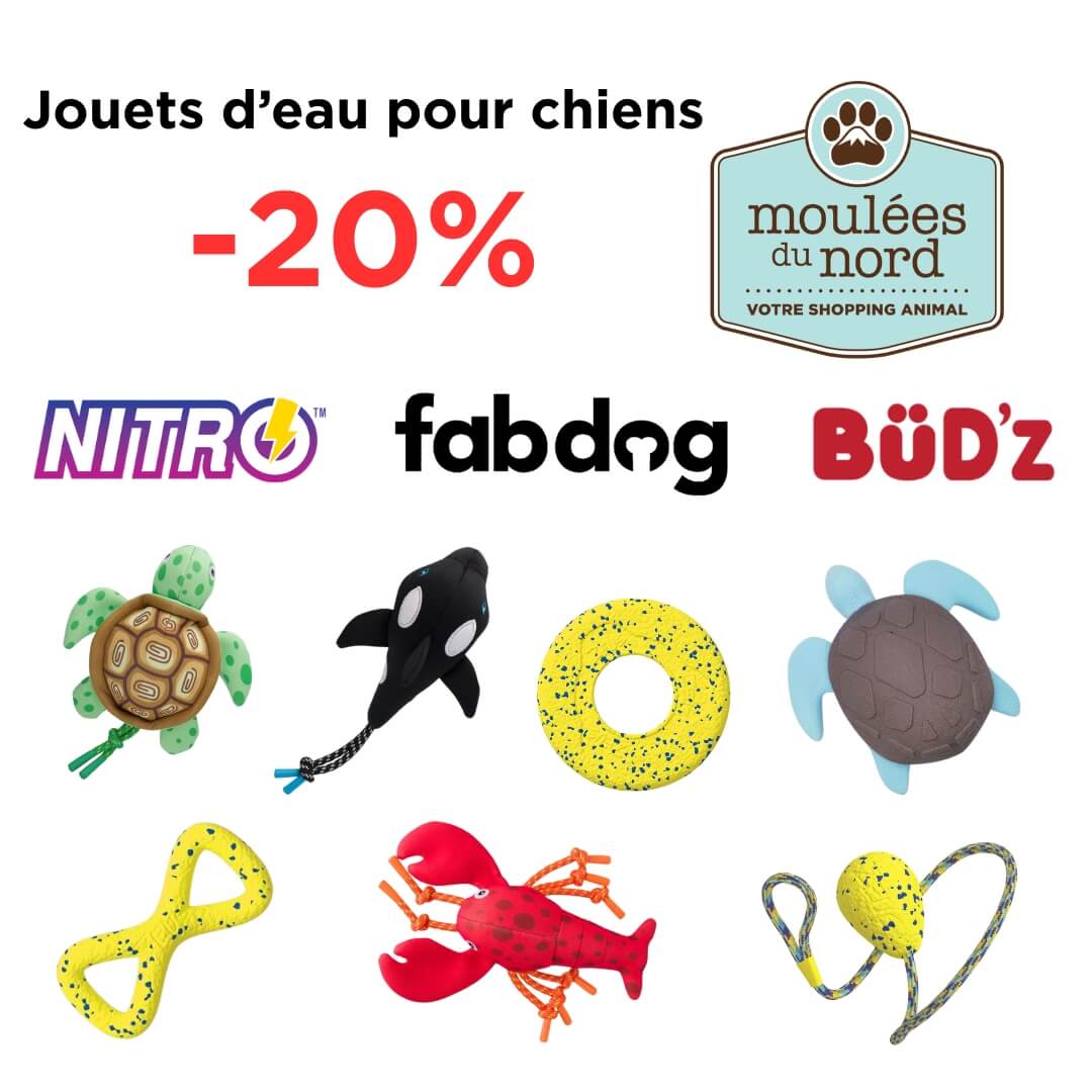 Promotion sur le jouets d'eau pour chien de BUDZ, Fabdog et Zeus Nitro ce mois d'août