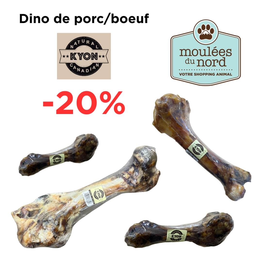Gros promo sur les os Kyon pour chiens: dino de porc ou boeuf