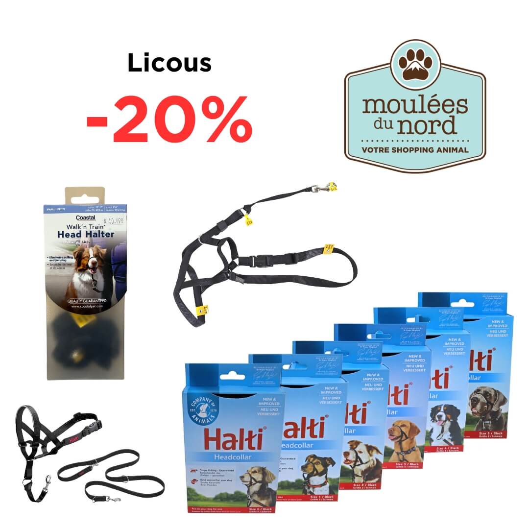 Promotion sur les licous et Halti chiens septembre chez Moulées du Nord
