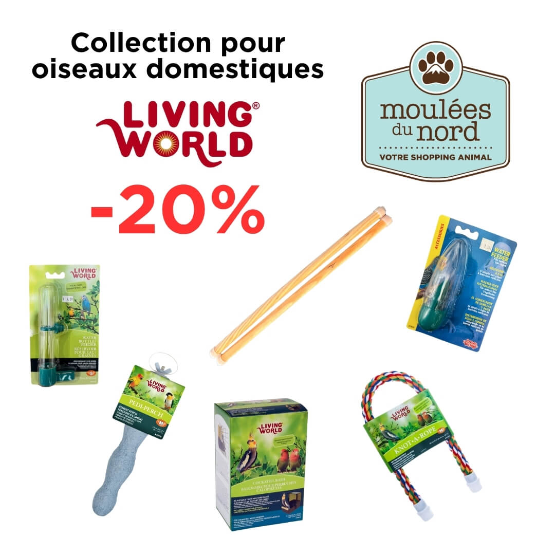 Économiser sur la collection Living World pour oiseaux domestiques: jouets, accessoires de cage et plus!