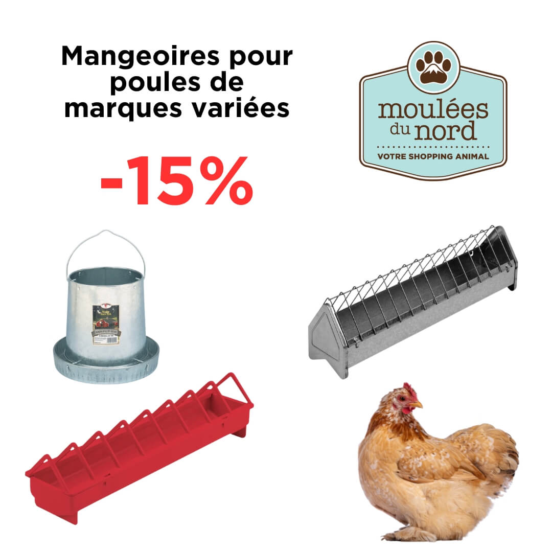 Promotion sur les mangeoires pour poules en plastique ou galvanisé ce mois d'août
