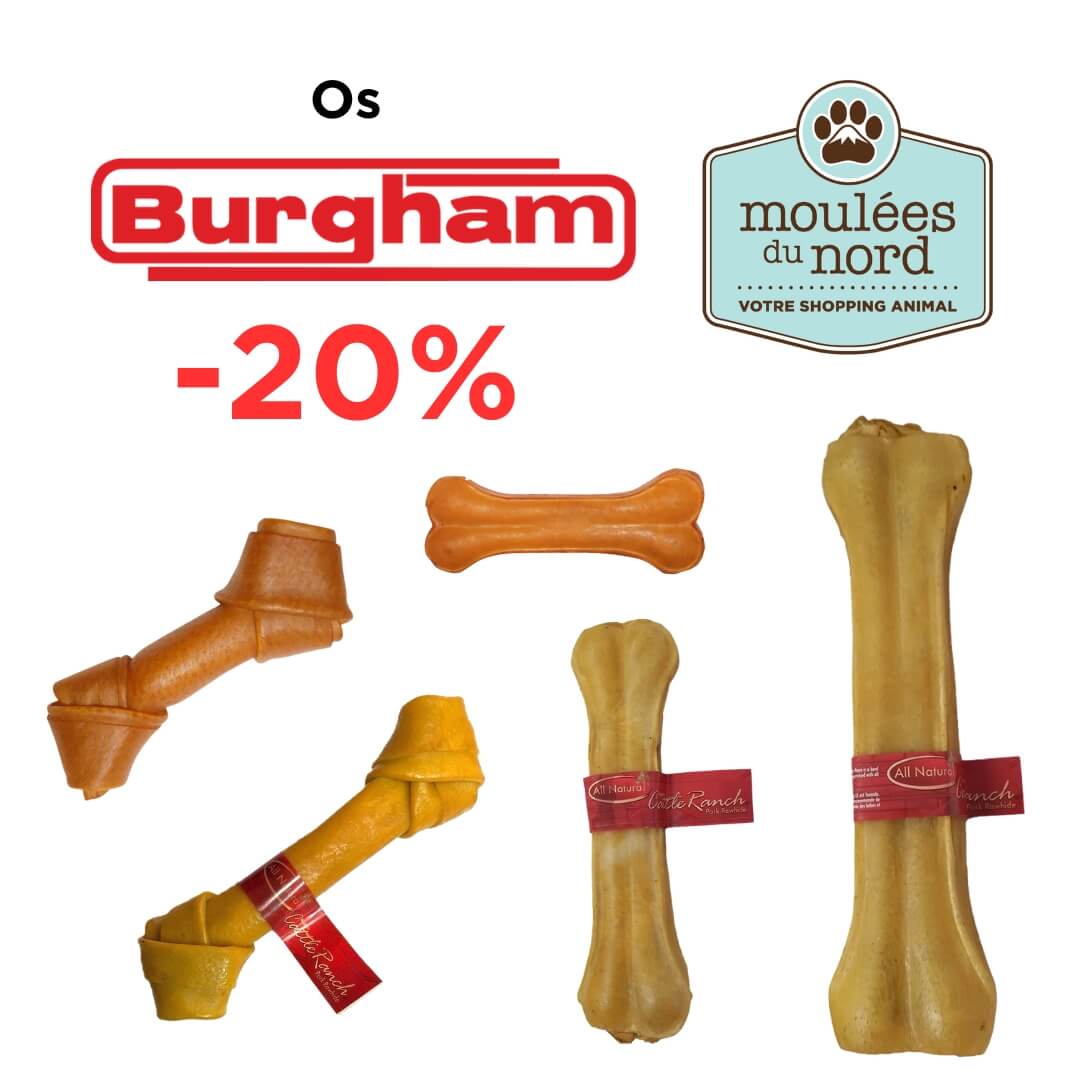 Promotion sur les os Burgham pressés et noués pour chiens au Moulées du Nord en août