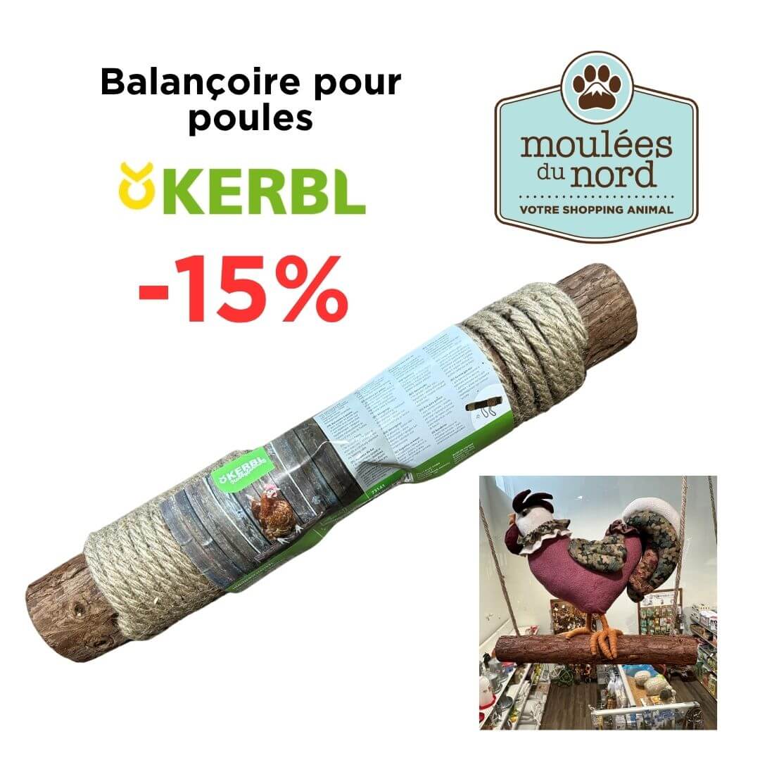 Rabais sur les balançoires pour poules en octobre