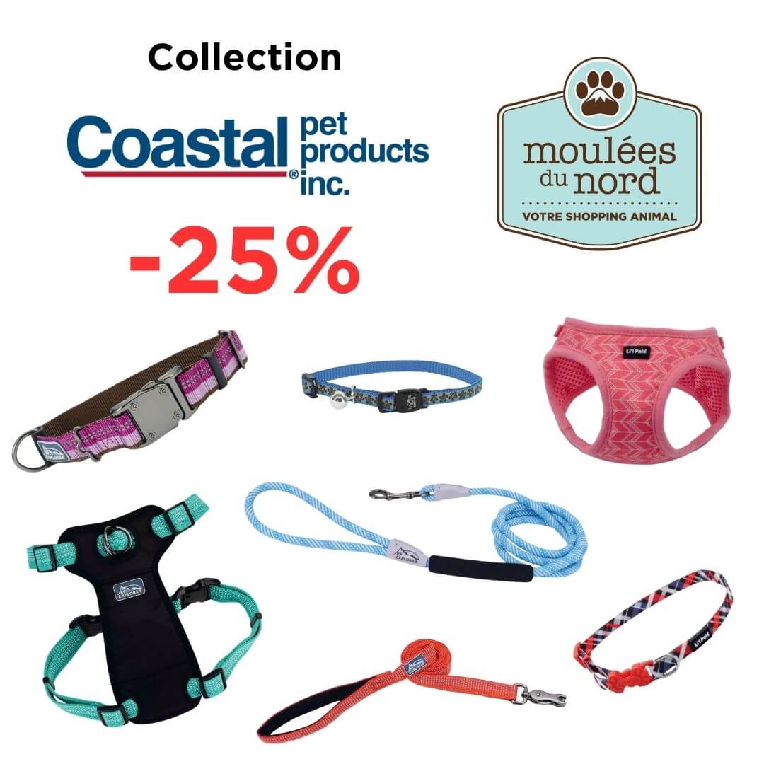 Colliers, harnais et laisses Coastal chiens et chats en rabais ce octobre