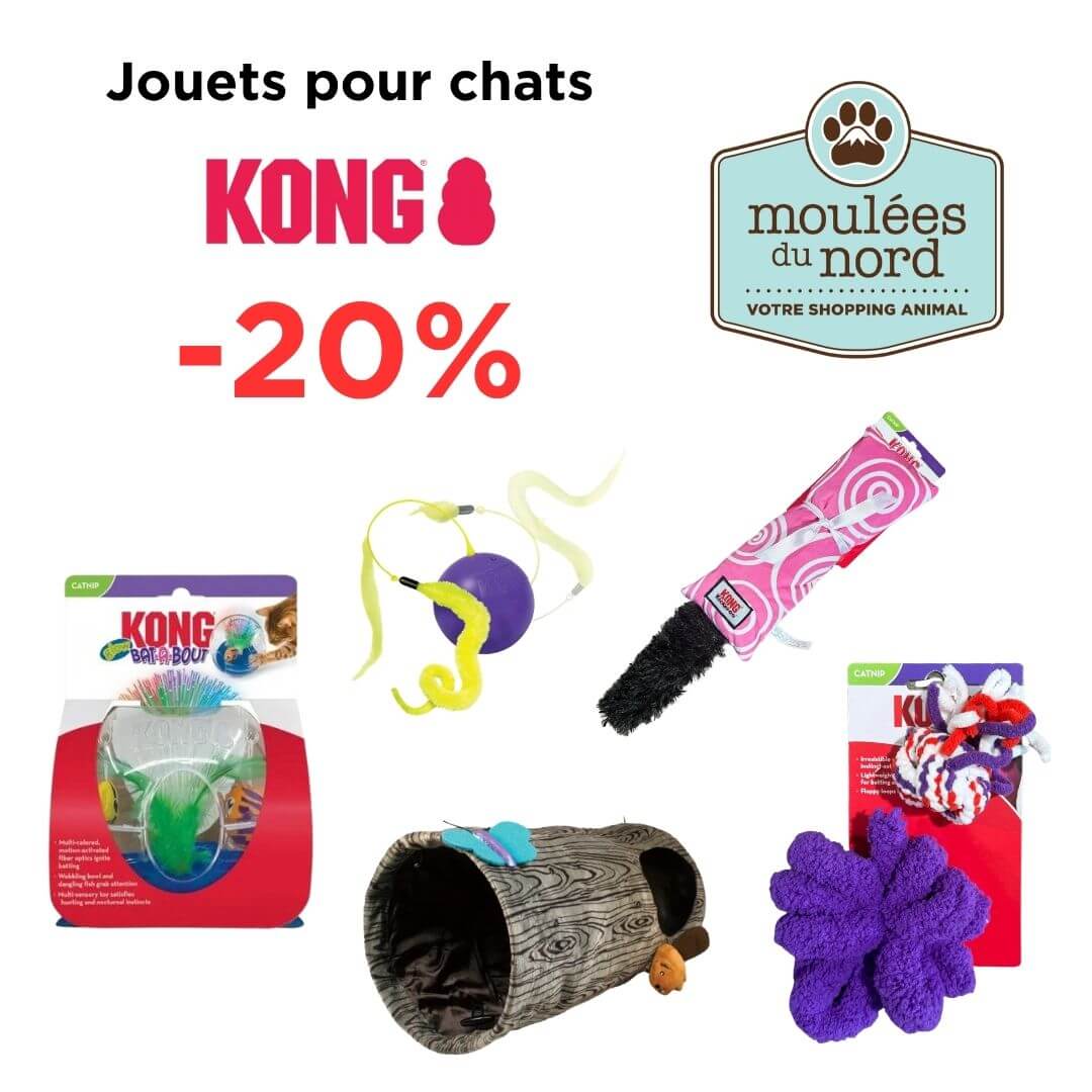 Jouets Kong pour chats en spéciale octobre Sainte-Adèle