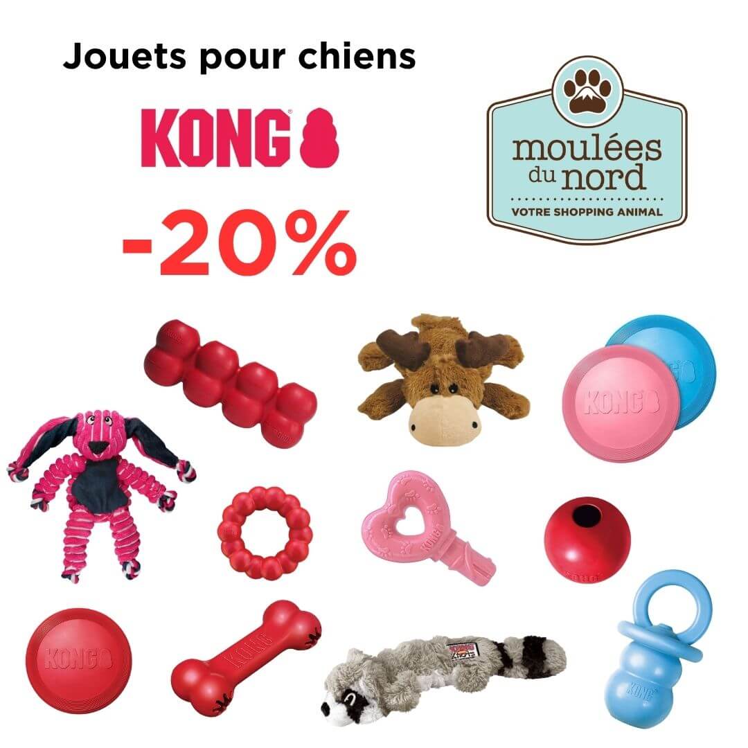 Jouets Kong pour chiens en spéciale octobre Sainte-Adèle