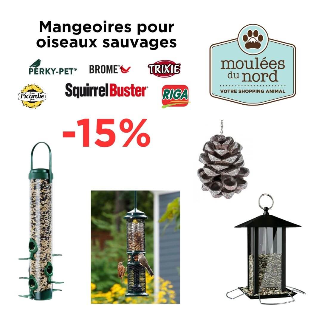 Promotion sur les mangeoires pour oiseaux sauvages chez Moulées du Nord animalerie Sainte-Adèle