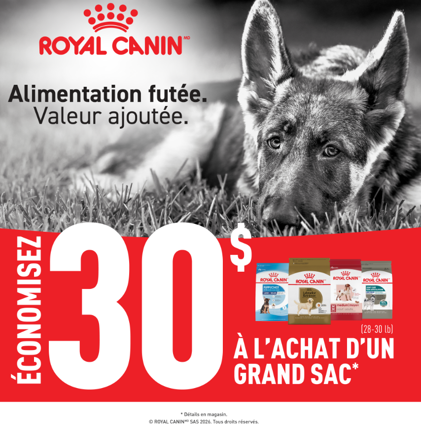 Promotions sur les grands sacs de nourriture pour chiens Royal Canin Moulées du Nord animalerie Laurentides