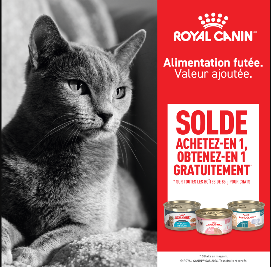 Rabais sur les conserves Royal Canin chats animalerie Sainte-Adèle