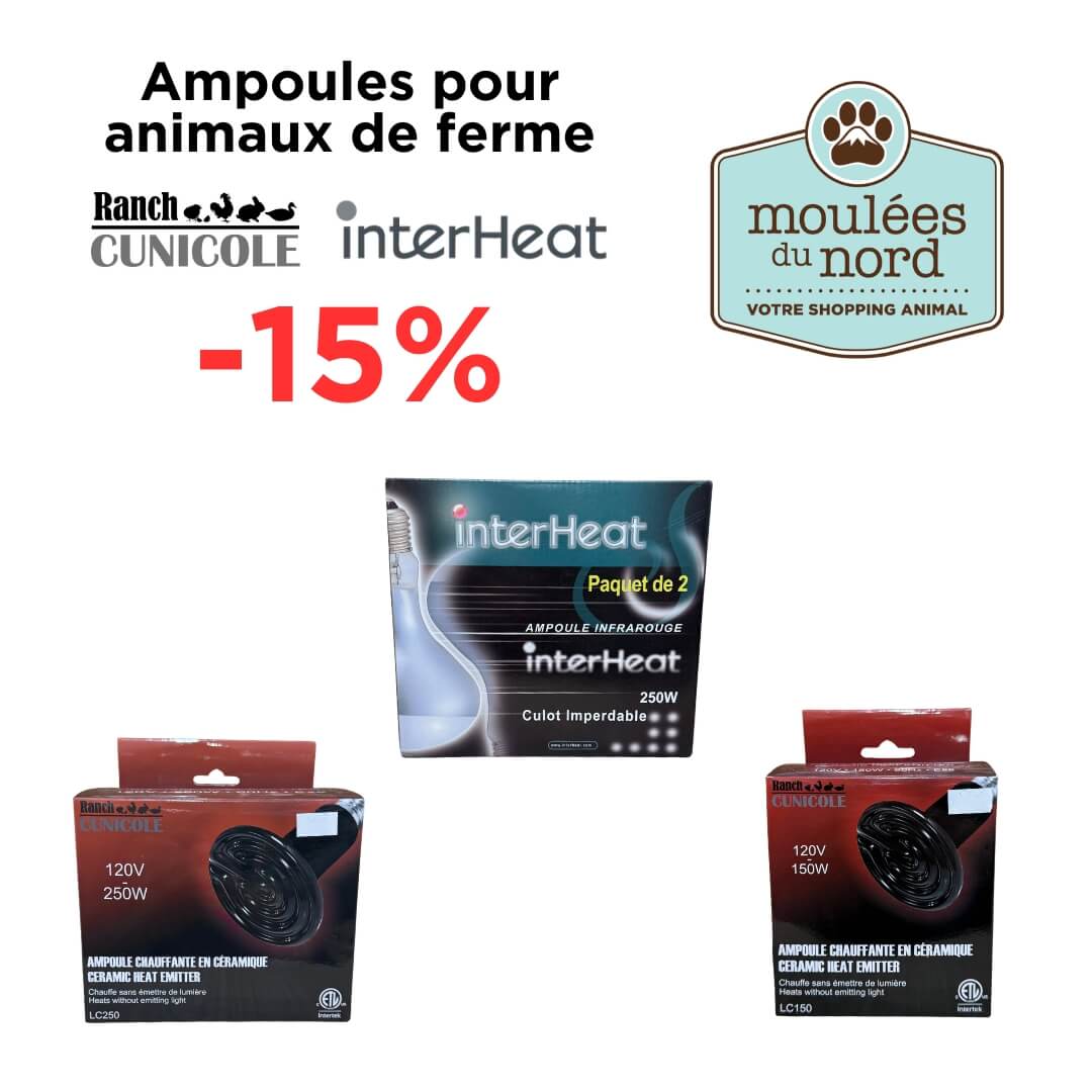 Profitez d'un rabais chez Moulées du Nord en novembre sur les ampoules pour animaux de ferme